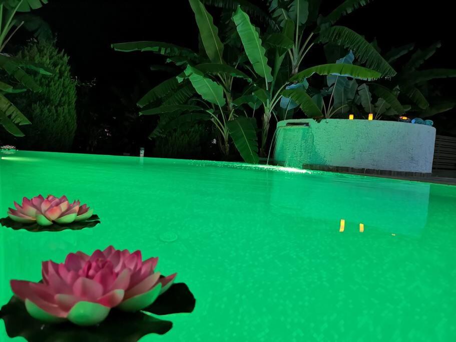 Bazén v ubytování Valantas Garden Suite nebo v jeho okolí