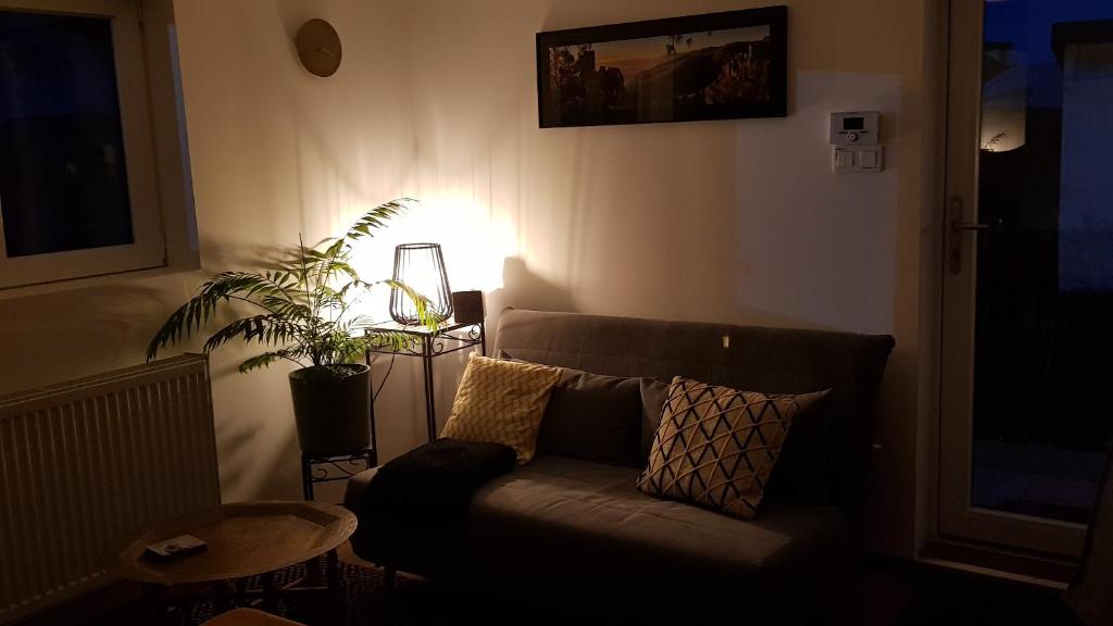 Gite See You Soon - Maisonnette Green Lodge – photo 16
