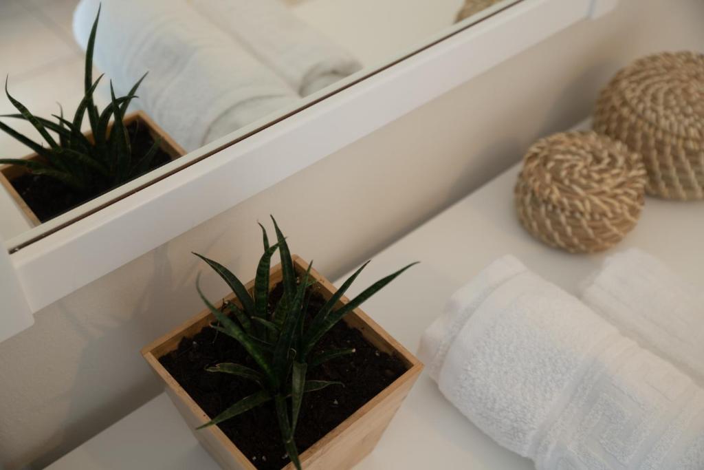 Zdjęcie z galerii obiektu Maresia Apts & Studios w mieście Arillas