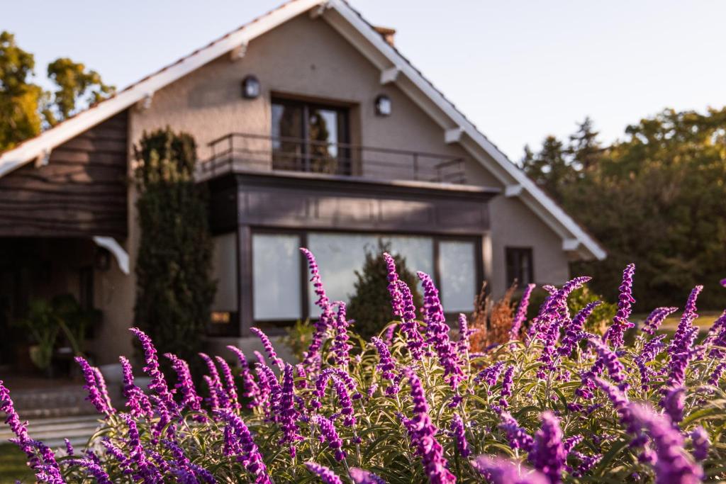 Κήπος έξω από το LA NATURE Hostería boutique B&B