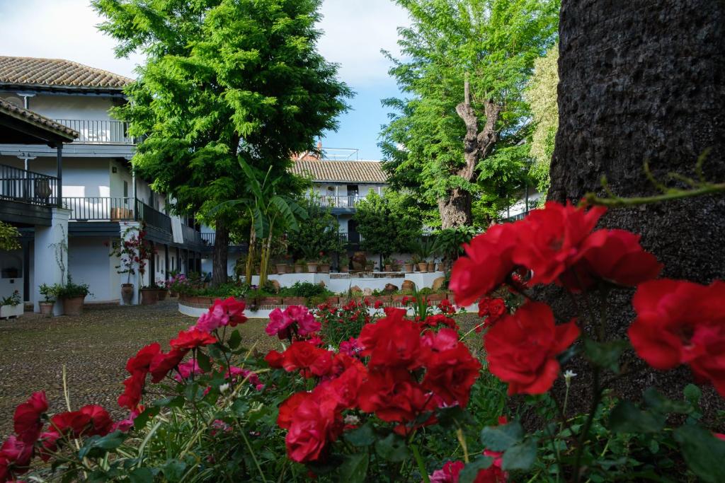 a garden of red flowers in front of a building at Vista Corral del Conde in Seville