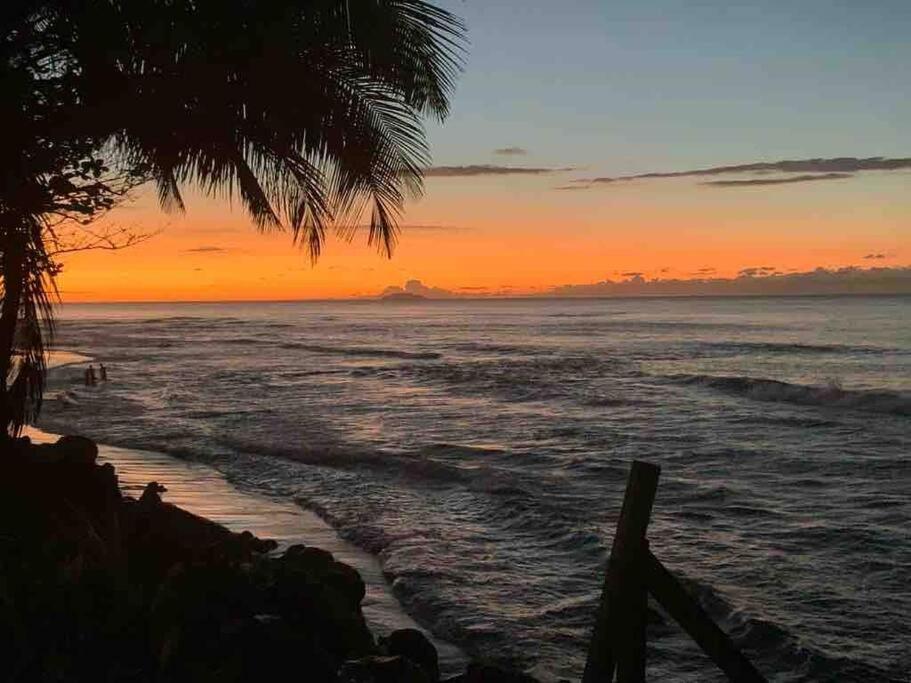 una playa con una palmera y el océano al atardecer en MY DREAM BEACH HOUSE en Aguada