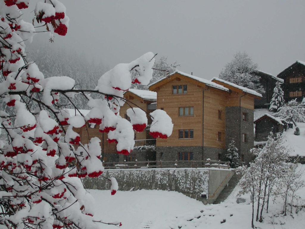 Swissalpschalet Chalet Timber Inn 4-5 v zimě