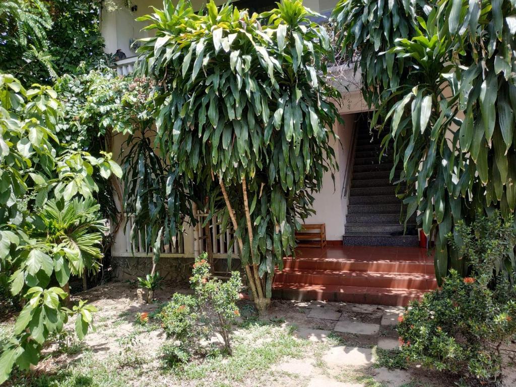 Aed väljaspool majutusasutust Nguyen Duy homestay