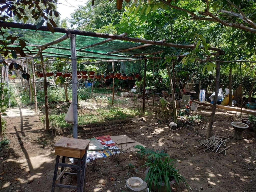 Aed väljaspool majutusasutust Nguyen Duy homestay