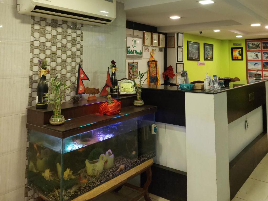 Fotografie z fotogalerie ubytování New Hotel Panda v destinaci Kathmandu