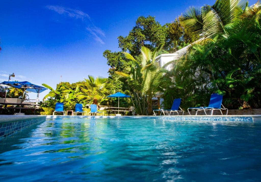 een zwembad met blauwe stoelen en palmbomen bij Stylish 2R-2B Apt Near the Beach and Main Street in Sosúa