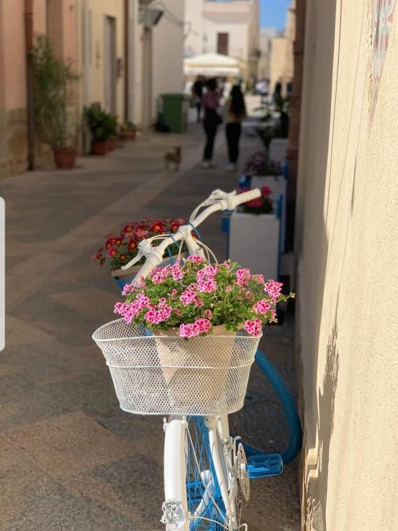Fotografie z fotogalerie ubytování APPARTAMENTO 21 v destinaci San Vito lo Capo