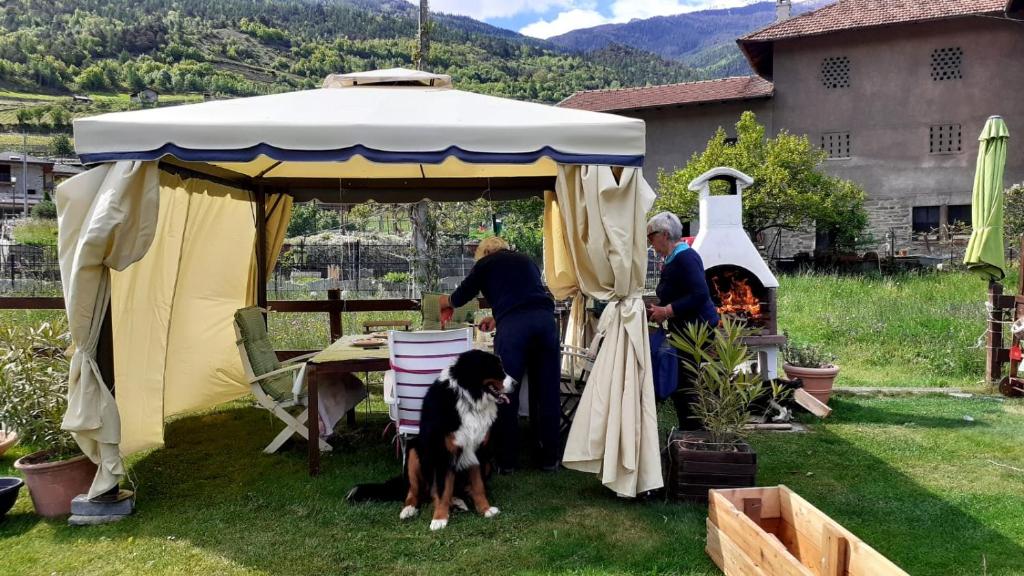 zwei Menschen und ein Hund unter einem Pavillon in der Unterkunft appartamento signorile con giardino CIR 0097 in Aosta