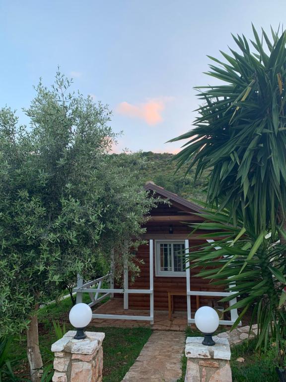 a house with a palm tree in front of it at The Mussel House in Ksamil
