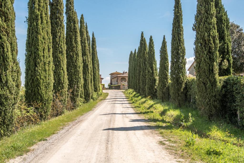 Příroda nedaleko apartmánu