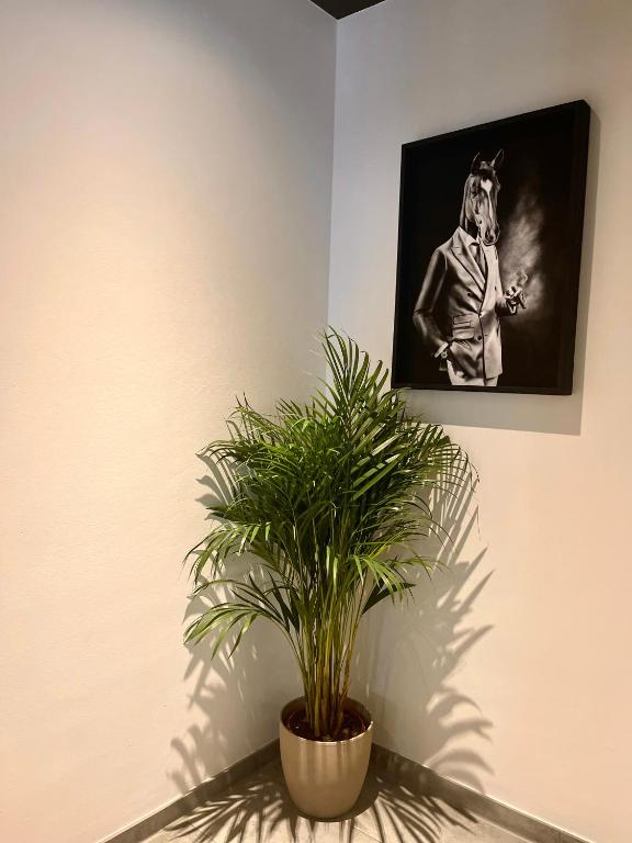 Bayer's City Hotel - Resim 37