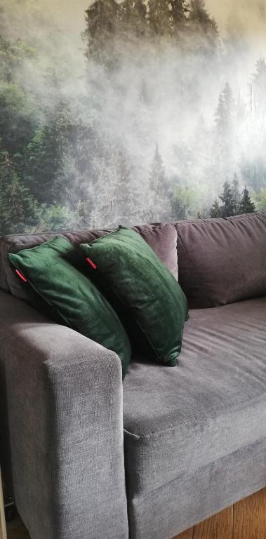 Domek Chmiel I nad Jeziorem Tarnobrzeskim - Twee Slaapkamers Villa