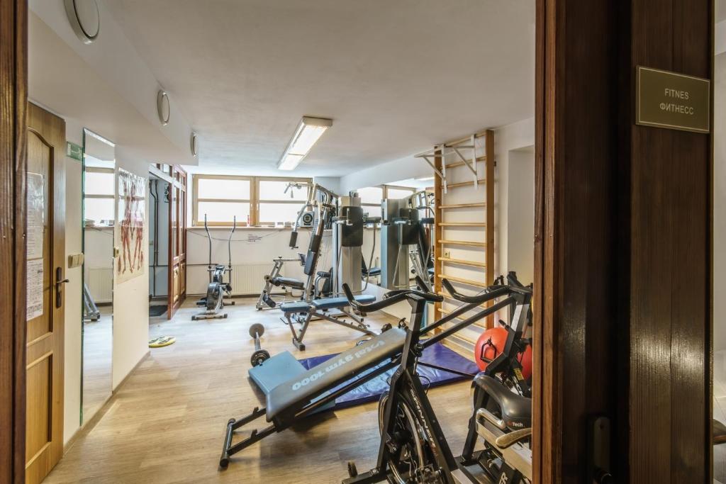 Fitness centrum a/nebo fitness zařízení v ubytování LD Morava