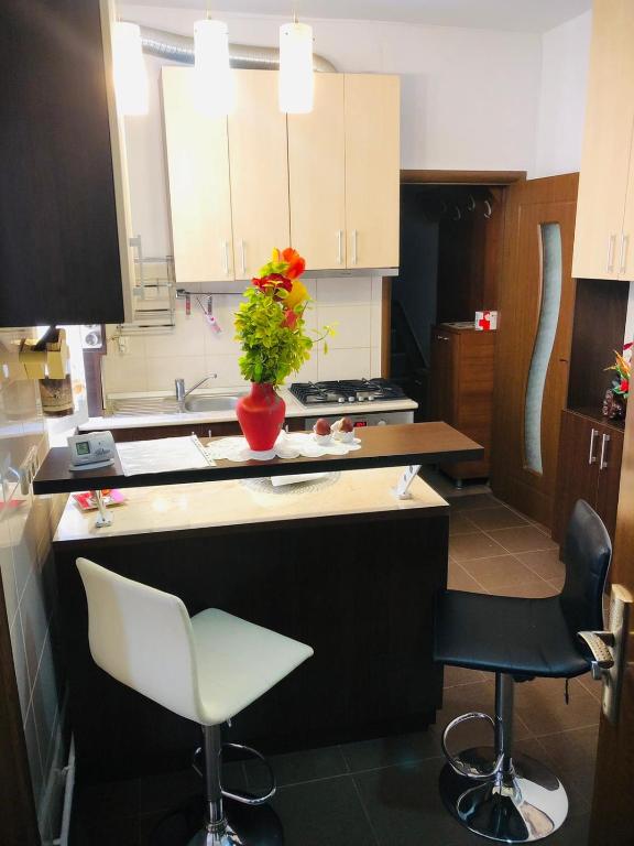 Balcescu Alina's apartament - 两居室公寓