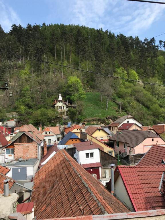 un grupo de casas y techos en una ciudad en Casa Mountain view, en Brasov