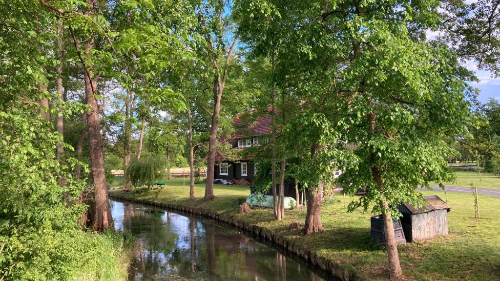 a house next to a river with trees at Ferienhaus Spreewald direkt am Wasser in Burg Kauper