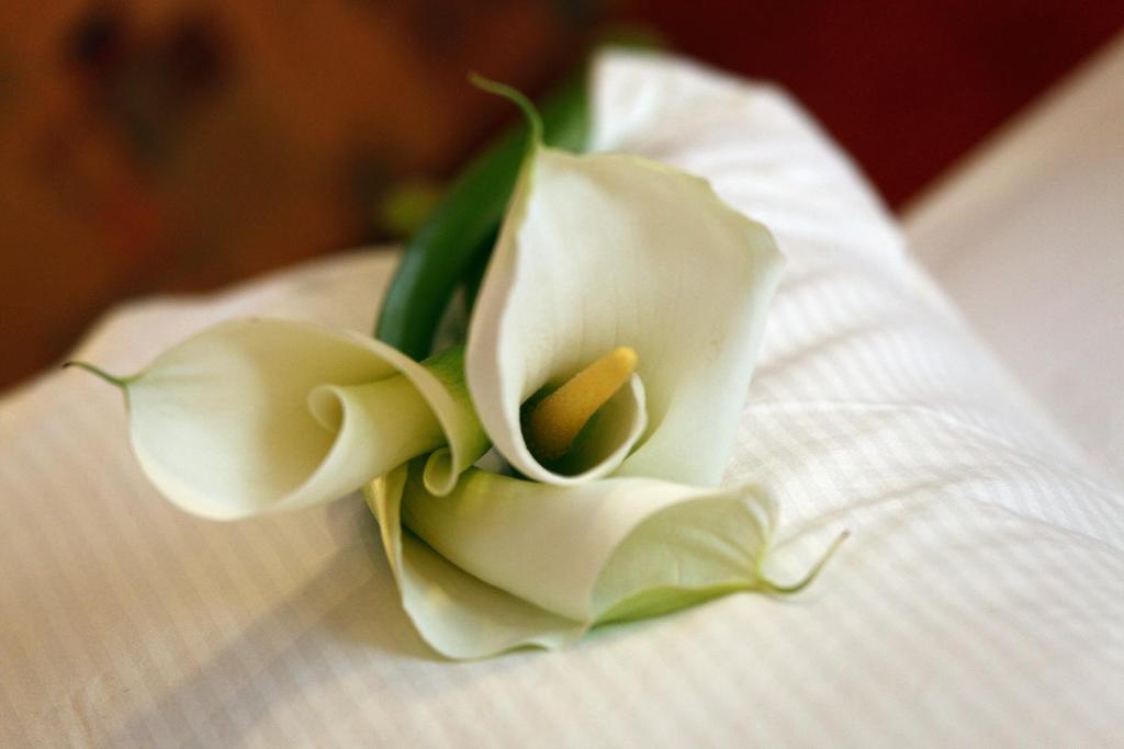 Wellness Hotel Zlatá Lípa - 16