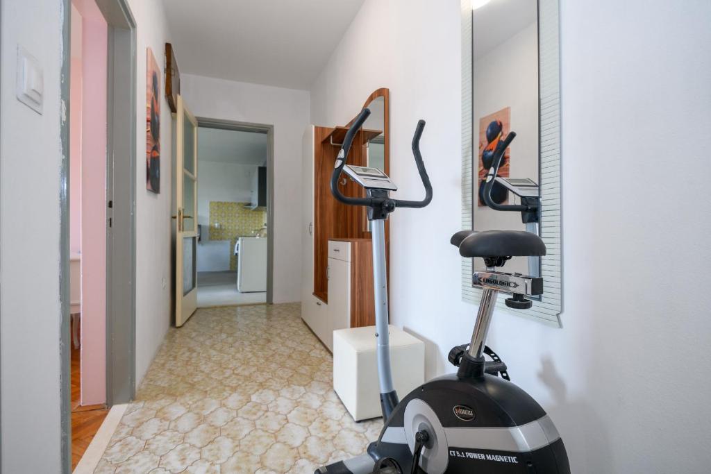 Fitness centrum a/nebo fitness zařízení v ubytování Apartment Rosehip