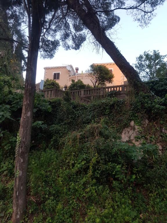 Сад в Villa Tiha