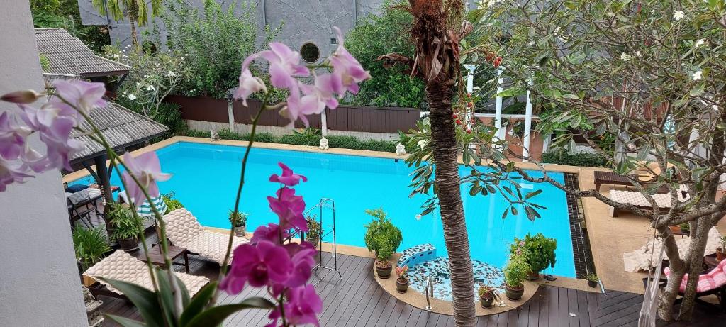 an overhead view of a swimming pool in a garden at Phangan Paragon Resort & Spa by Pure Lifestyle in Haad Chao Phao