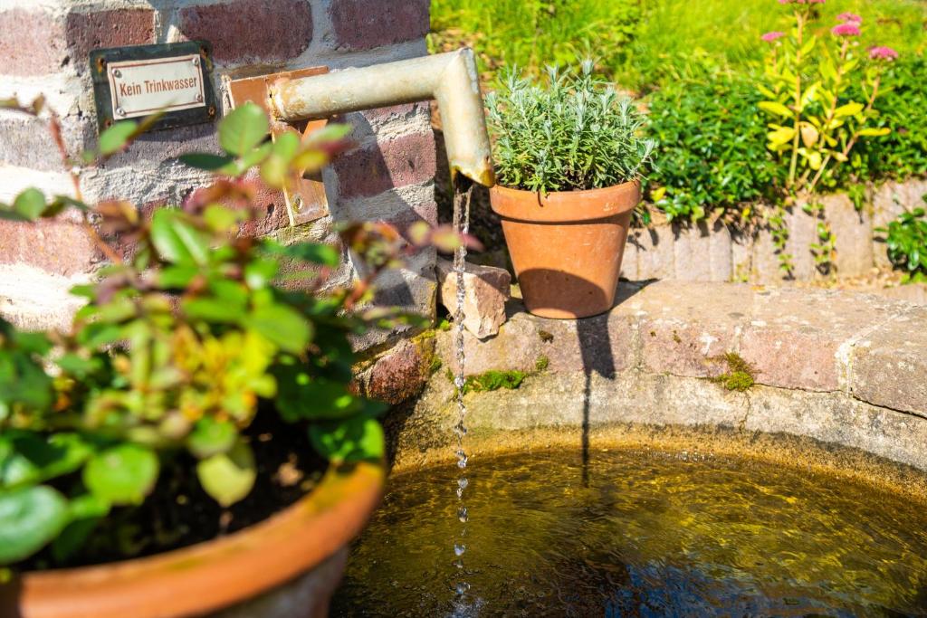 Aed väljaspool majutusasutust Waldschlösschen Brotterode