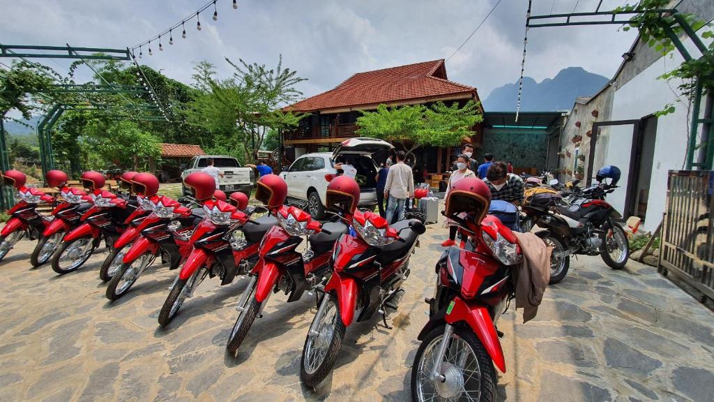 Đạp xe trong hoặc quanh Ha Giang Loop Hostel &amp; Tours