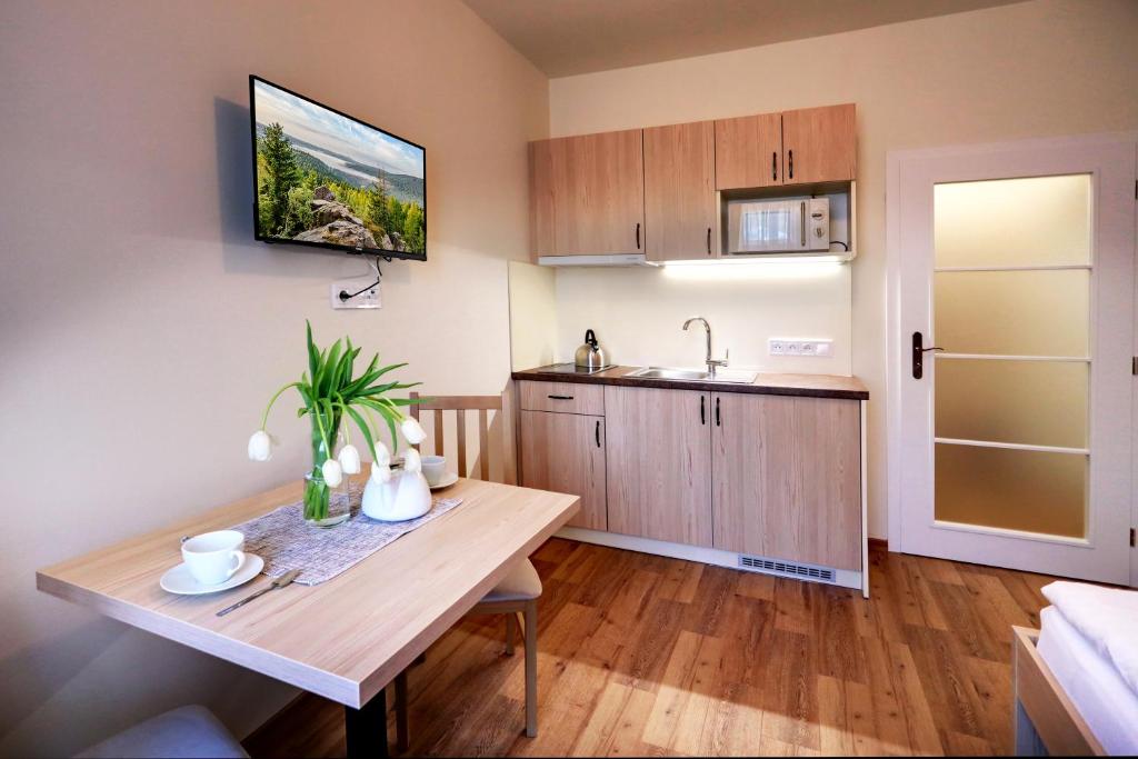 Kuchyň nebo kuchyňský kout v ubytování Apartmány Tatra