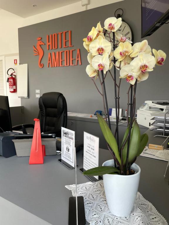 Fotografia z galérie ubytovania Hotel Amedea v destinácii Cervia