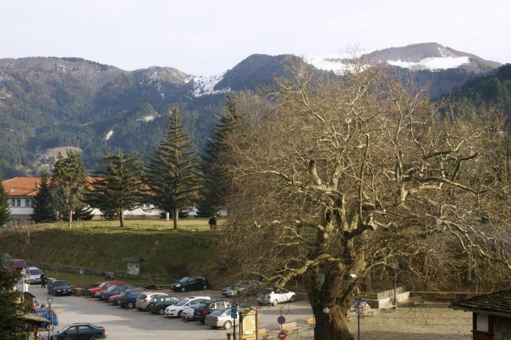 Příroda nedaleko hotelu