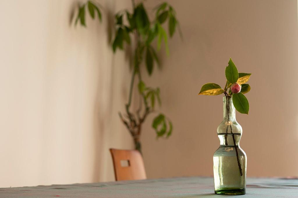 La linterna de San Lorenzo - 18