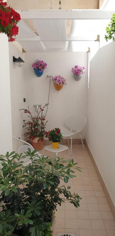 Zahrada ubytování Michelangelo B&B