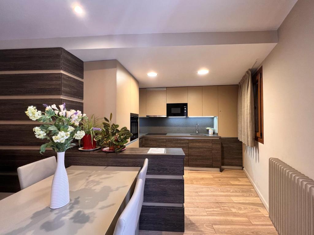 TV a/nebo společenská místnost v ubytování Apartamentos Casa Roldan
