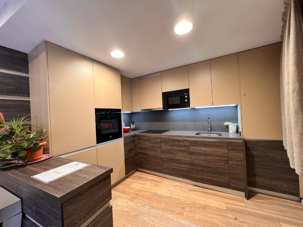 Kuchyň nebo kuchyňský kout v ubytování Apartamentos Casa Roldan