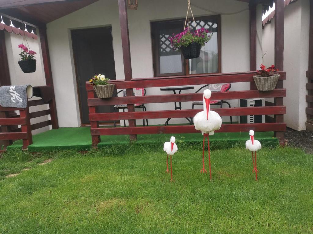 Zahrada ubytování La 3 Casute