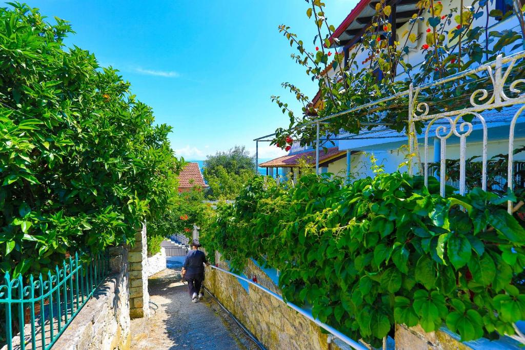 Vonkajšia záhrada v ubytovaní Vista Mare Faros