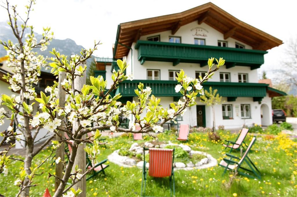 una casa con un árbol y sillas delante en Bio-Landpension Monika, en Leutasch