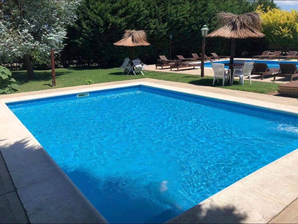 una grande piscina blu con sedie e ombrelloni di La Posada del Indio a Mar del Plata