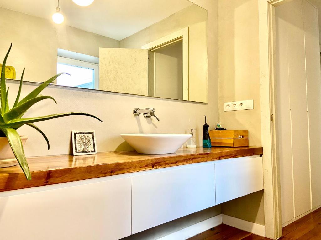 La linterna de San Lorenzo - 11