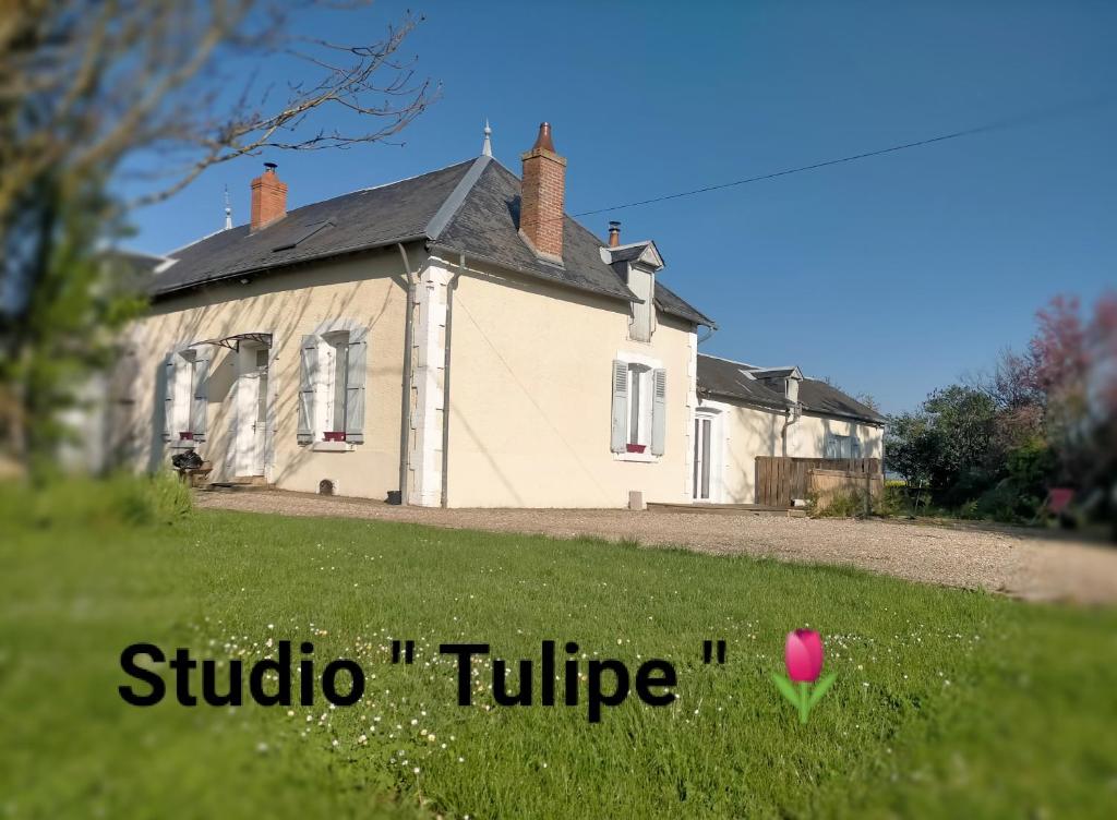 a house with a pink tulip in the grass at studio ''tulipe'' dans le Berry in Les Bordes