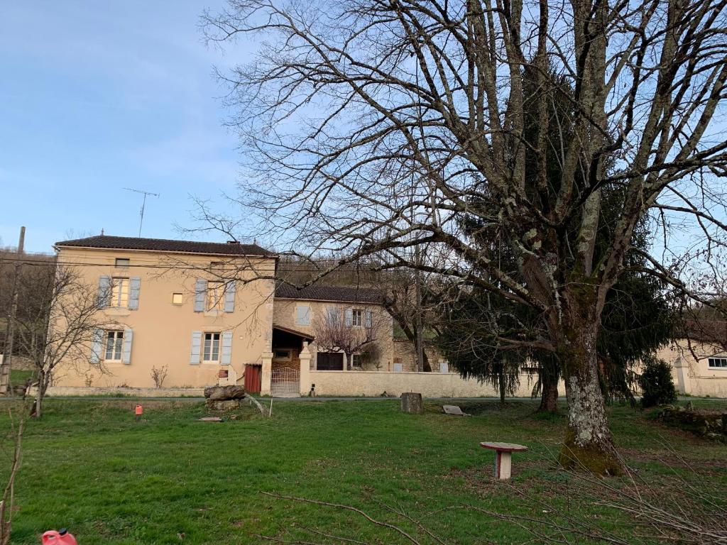 a tree in a yard next to a building at Les chambres de la P’tite vallée in Anglars-Juillac