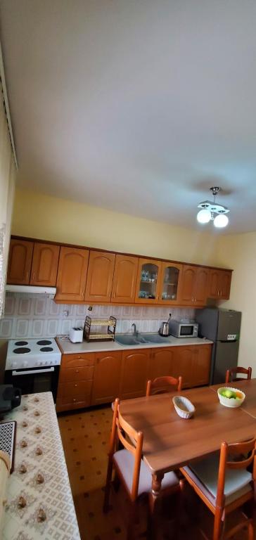 Kuchyň nebo kuchyňský kout v ubytování Vila Visi Hotel