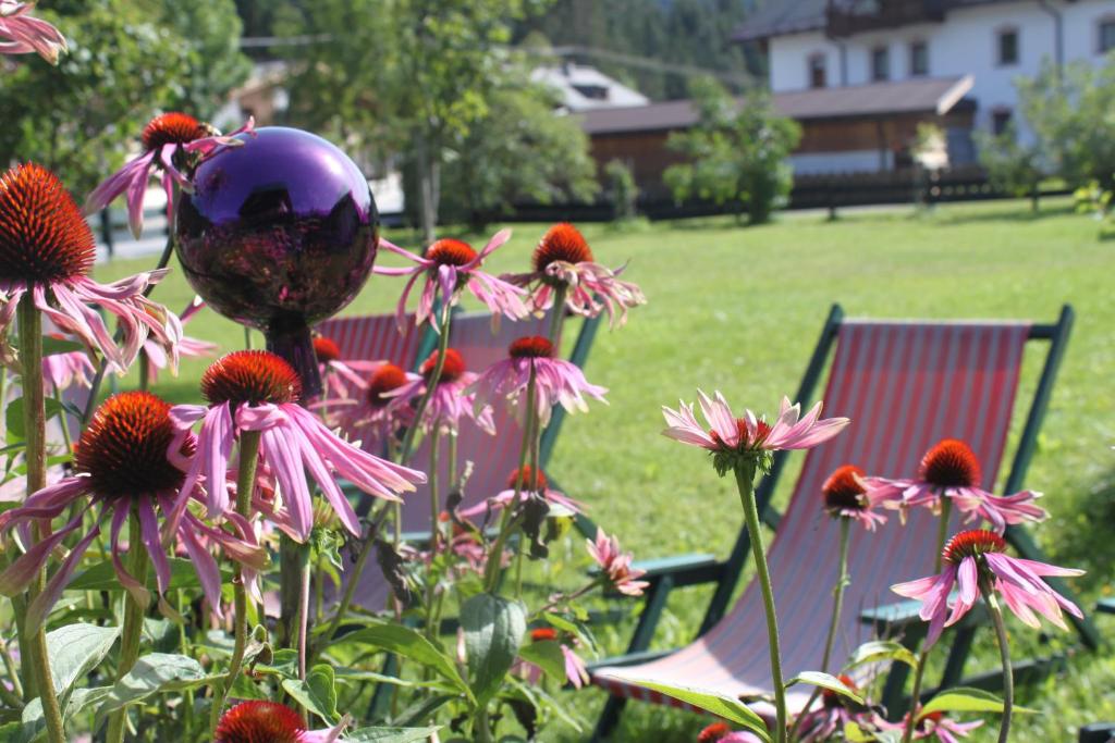Zahrada ubytování Bio-Landpension Monika