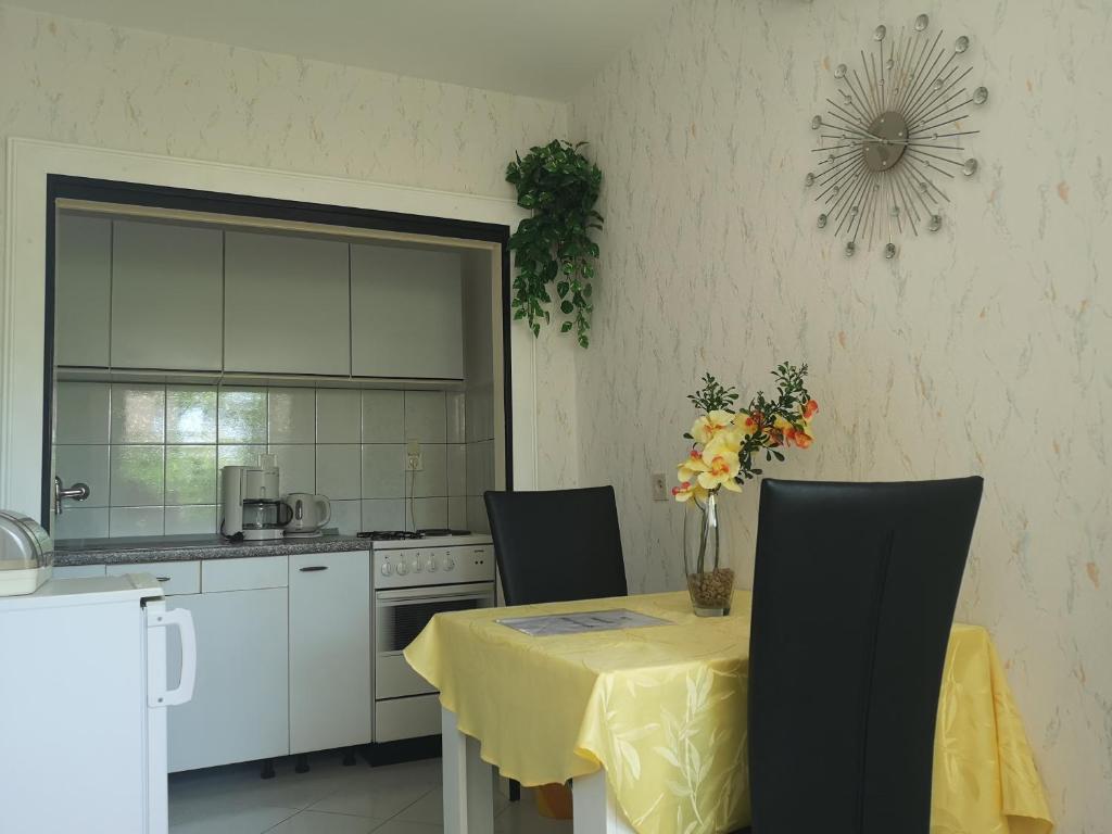 Kuchyň nebo kuchyňský kout v ubytování Apartments & Rooms Anita