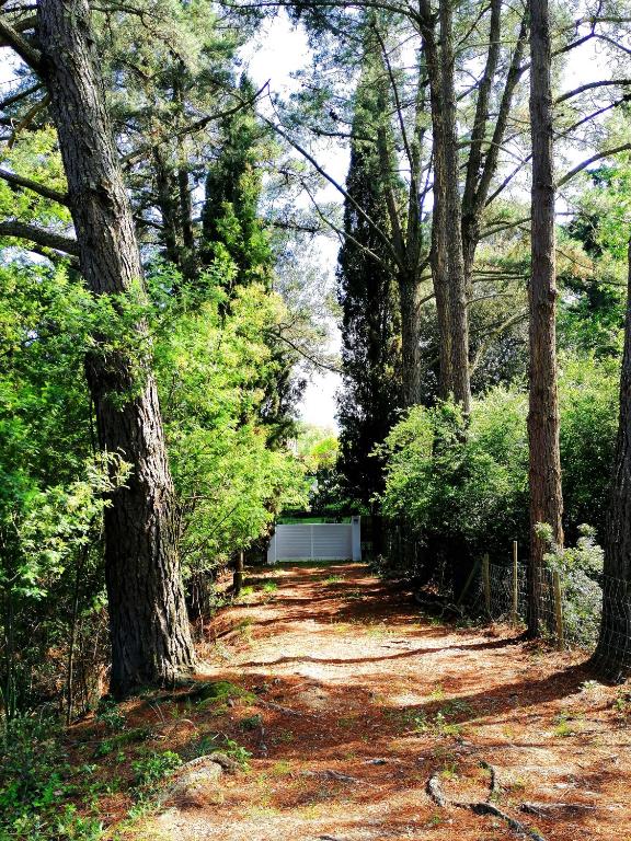 Fotografie z fotogalerie ubytování Costa Brava Home & Garden v destinaci Llagostera