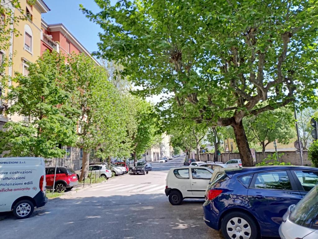 Okolie apartmánu