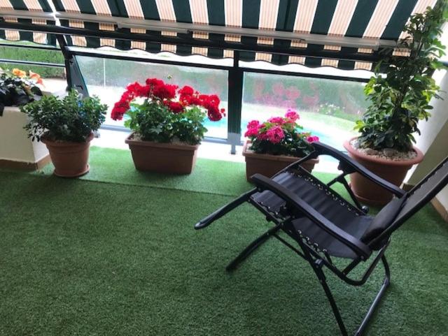 Ogród w obiekcie Piso TORREQUEBRADA