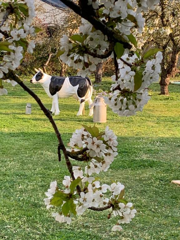 una statua di mucca in piedi in un campo con fiori bianchi di VILLA CATHY Chambres d hôtes a Dives-sur-Mer