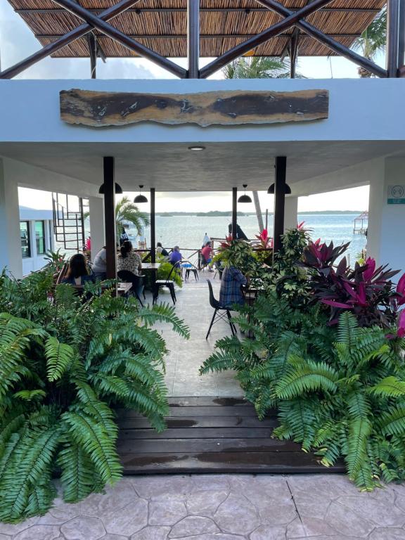Zahrada ubytování Hotel Aldea 19 Bacalar