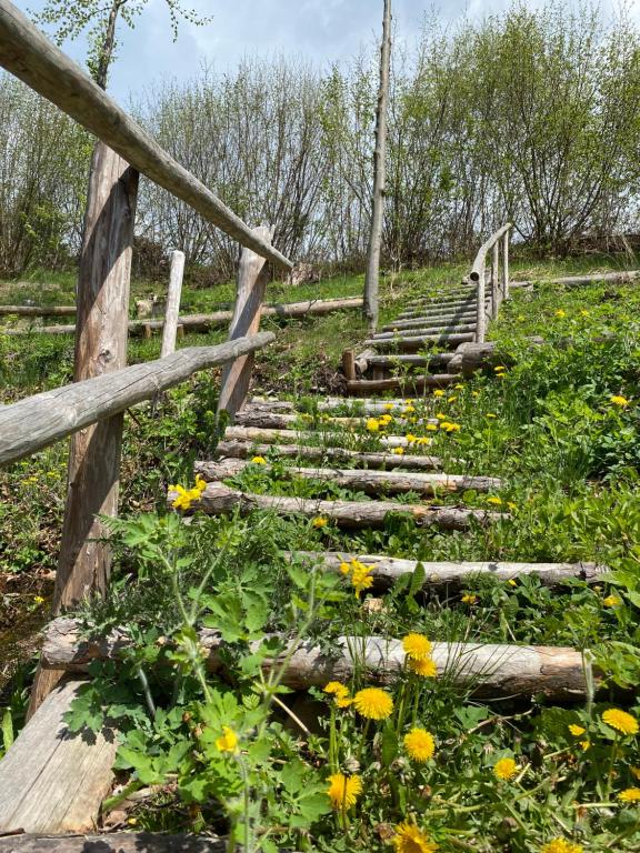 Zahrada ubytování AUSZEIT am Steinbichl